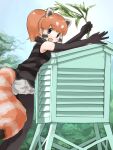  1girl absurdres black_gloves black_hair black_pantyhose black_shirt blue_sky blush breasts brown_eyes commentary_request cutoffs day elbow_gloves feet_out_of_frame from_side fur_collar gloves grey_shorts highres holding holding_plant iwa_(iwafish) kemono_friends leaning_on_object lesser_panda_(kemono_friends) long_hair looking_at_viewer looking_to_the_side medium_breasts multicolored_hair open_mouth orange_hair outdoors outstretched_arms pantyhose pantyhose_under_shorts plant ponytail raised_eyebrows reaching red_panda_ears red_panda_girl red_panda_tail shirt short_shorts shorts sidelocks sky sleeveless sleeveless_shirt smile solo standing stevenson_screen striped striped_shirt white_hair 