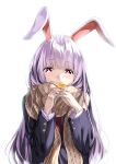  1girl animal_ears blush flower kyon_(fuuran) long_hair looking_at_viewer necktie purple_hair rabbit_ears red_eyes reisen_udongein_inaba scarf simple_background smile solo touhou white_background 