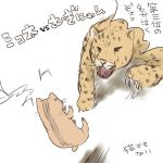  cat cats cheetah to_aru_kagaku_no_railgun to_aru_majutsu_no_index translation_request 
