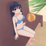  ball barefoot beachball bench bikini black_eyes black_hair hinuki_marina long_hair sakaki swimsuit 
