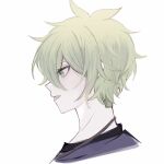  1boy :d amami_rantaro cropped_shoulders danganronpa_(series) danganronpa_v3:_killing_harmony green_eyes green_hair hair_between_eyes huacha_(ktk7skr) jewelry male_focus messy_hair necklace open_mouth profile short_hair simple_background smile solo white_background 