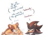  1boy 1girl angry badger black_fur blue_eyes brown_fur dialogue_box eyelashes frown hair_tie looking_to_the_side open_mouth orange_fur quark196 red_eyes red_fur shadow_the_hedgehog sonic_(series) sticks_the_badger white_background white_fur 