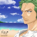  1boy artist_name beach blue_sky closed_mouth clouds cloudy_sky day green_hair highres looking_at_viewer male_focus mavishdz ocean one_piece outdoors roronoa_zoro short_hair signature sky solo v-shaped_eyebrows water web_address 