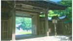  building calligraphy_brush dappled_sunlight door hariken highres lamppost no_humans original outdoors paintbrush painting_(medium) scenery shadow shrine sunlight torii traditional_media tree tree_shade 