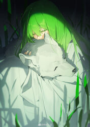 1other absurdres androgynous animal_hug chinese_commentary closed_eyes commentary_request enkidu_(fate) fate/strange_fake fate_(series) green_hair hair_between_eyes highres long_hair on_grass other_focus outdoors rhg robe white_robe wolf_(fate) 