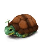  lowres naco24 no_humans pokemon pokemon_(creature) realistic shell_retraction simple_background turtle turtwig 