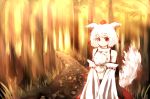  bare_shoulders detached_sleeves hal360 hat inubashiri_momiji red_eyes shoulders tail tokin_hat touhou white_hair wolf_ears wolf_tail 