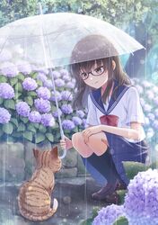  1girl animal black-framed_eyewear bow bowtie brown_eyes brown_hair bush cat flower glasses hand_on_own_knee highres holding holding_umbrella hydrangea ibuki_ena loafers long_hair looking_down original outdoors rain school_uniform semi-rimless_eyewear serafuku shoes short_sleeves smile socks solo squatting transparent transparent_umbrella umbrella under-rim_eyewear 