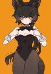  010mzam 1girl :&lt; animal_ears bare_shoulders black_bow black_bowtie black_hair black_leotard black_pantyhose black_serval_(kemono_friends) blush bow bowtie bunny_day cat_ears cat_girl cat_tail cowboy_shot detached_collar hair_between_eyes highres kemono_friends leotard pantyhose playboy_bunny short_hair sidelocks solo strapless strapless_leotard tail wrist_cuffs yellow_eyes 