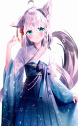  1girl :q absurdres ahoge animal_ear_piercing animal_ears anzu_yotsuba aqua_eyes blue_hakama blue_kimono blush braid commentary_request cowboy_shot crossed_bangs double-parted_bangs fox_ears fox_girl fox_tail gradient_kimono grey_hair hair_between_eyes hakama hakama_skirt hand_up high-waist_skirt highres hololive japanese_clothes kimono licking_lips long_hair obi official_alternate_costume pentagram sash shirakami_fubuki shirakami_fubuki_(4th_costume) side_braid simple_background skirt skirt_hold solo tail tongue tongue_out virtual_youtuber white_kimono 