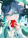  1boy apple beret black_hair blue_eyes blue_hair braid cape flower food frilled_sleeves frills fruit genshin_impact gradient_hair green_cape green_headwear hat hat_flower male_focus multicolored_hair reona_(836) short_hair_with_long_locks solo twin_braids venti_(genshin_impact) white_flower 