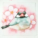  animal animal_focus bird brown_eyes chako_(parusminor30) cherry_blossoms highres java_sparrow no_humans original painting_(medium) petals solo traditional_media watercolor_(medium) white_background 