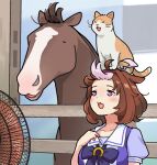  :3 =_= ahoge bow bowtie brown_hair cat commentary creature_and_personification electric_fan horse horse_girl horseshoe_ornament long_hair meisho_doto_(racehorse) meisho_doto_(umamusume) meto_(cat) multicolored_hair oishi_oiru puffy_short_sleeves puffy_sleeves purple_bow purple_bowtie purple_serafuku purple_shirt real_life sailor_collar sailor_shirt school_uniform serafuku shirt short_hair short_sleeves tracen_school_uniform umamusume violet_eyes white_hair white_sailor_collar 