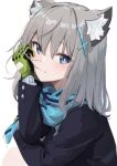  1girl absurdres animal_ear_fluff animal_ears black_jacket blue_archive blue_eyes blue_scarf closed_mouth cross_hair_ornament fang gloves gosuisuisuisui green_gloves grey_hair hair_ornament hand_on_own_face highres jacket light_blush long_sleeves looking_at_viewer medium_hair mismatched_pupils scarf school_uniform shiroko_(blue_archive) simple_background solo white_background wolf_ears 