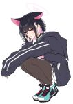  1girl animal_ears black_hair blue_archive cat_ears choker colored_inner_hair halo highres hood hoodie kazusa_(blue_archive) multicolored_hair nemun_(tamizzz) pantyhose pink_hair red_eyes short_hair simple_background squatting white_background 