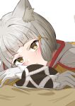  1girl absurdres animal_ear_fluff animal_ears blush brown_eyes closed_mouth commentary_request eteko_(eteco30) gloves grey_gloves grey_hair highres long_sleeves looking_at_viewer nia_(xenoblade) puffy_long_sleeves puffy_sleeves simple_background sleeves_past_wrists solo white_background xenoblade_chronicles_(series) xenoblade_chronicles_2 