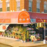  :&lt; animal_crossing awning black_eyes blonde_hair blush bouquet building closed_mouth commentary fawn_(fawnyawns) flower flower_pot flower_shop full_body highres holding holding_bouquet long_sleeves marshal_(animal_crossing) outdoors pink_flower plant potted_plant road_sign scenery shirt shop short_hair sidewalk sign standing storefront symbol-only_commentary white_flower white_shirt 
