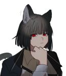  1girl animal_ears black_coat black_hair bob_cut cat_ears cat_girl cat_tail coat collared_shirt commentary hand_on_own_chin limbus_company moth_ram open_clothes open_coat project_moon red_eyes ryoshu_(limbus_company) shirt simple_background solo solo_focus symbol-only_commentary tail white_background white_shirt 