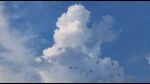  bird blue_sky clouds commentary day gerar_dc no_humans original outdoors scenery sky sky_focus symbol-only_commentary 