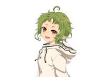  1girl absurdres ahoge elf green_hair highres hood hooded_jacket jacket looking_at_viewer monmondesu22 mushoku_tensei open_mouth pointy_ears red_eyes short_hair simple_background solo sylphiette_(mushoku_tensei) white_background white_jacket 