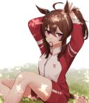  1girl animal_ears brown_hair feet_out_of_frame gym_uniform hair_between_eyes horse_ears horse_girl horse_tail jacket looking_at_viewer nakayama_festa_(umamusume) nakichi_n red_jacket red_shorts shirt shorts sidelocks sitting solo tail tracen_training_uniform track_jacket tying_hair umamusume violet_eyes white_shirt 