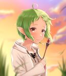  1girl ahoge closed_mouth clouds elf evening green_hair hands_up highres holding holding_wand hood hooded_jacket jacket mushoku_tensei outdoors phoebe_(pixiv_55159801) pointy_ears red_eyes shirt short_hair smile solo sylphiette_(mushoku_tensei) wand white_jacket white_shirt 