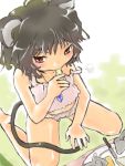  bloomers cheese eating goton_goton grey_hair mouse mouse_ears mouse_tail nazrin red_eyes short_hair solo tail touhou 