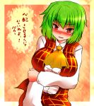  blush breast_hold breasts green_hair kazami_yuuka large_breasts plaid plaid_skirt plaid_vest red_eyes roki_(hirokix) short_hair skirt skirt_set solo tears touhou translated tsundere 