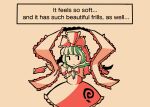  1girl bow closed_mouth commentary dress english_commentary english_text frilled_shawl frills front_ponytail green_hair hair_bow hair_ribbon kagiyama_hina medium_hair oysterfried red_bow red_dress red_ribbon ribbon shawl short_sleeves simple_background smile solo touhou zipper 