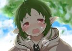  1girl clouds crying crying_with_eyes_open elf green_hair hood hooded_jacket jacket leaf mushoku_tensei outdoors pointy_ears red_eyes sky solo sylphiette_(mushoku_tensei) tears white_jacket yakata_mana 