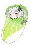  1girl blush cabbage_swaddle closed_eyes closed_mouth food genshin_impact gradient_hair green_hair grey_hair hair_between_eyes hair_ornament highres hirarinoie long_hair multicolored_hair nahida_(genshin_impact) napa_cabbage pointy_ears simple_background solo vegetable white_background 