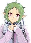  1girl ahoge alternate_costume closed_mouth elf green_hair looking_at_viewer mizumori_keiichi mushoku_tensei pointy_ears purple_sweater red_eyes scarf short_hair simple_background smile solo sweater sylphiette_(mushoku_tensei) white_background white_scarf 