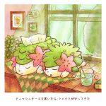 animal_focus book closed_eyes cup curtains drink kuruta_(qulta03) no_humans open_mouth petals picture_frame pokemon pokemon_(creature) shaymin sleeping solo tablecloth tissue_box translation_request water 
