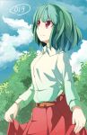  cloud green_hair kazami_yuuka nature red_eyes short_hair skirt skirt_hold skirt_lift touhou tree yoshinaga_p 