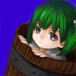  girl_in_bucket green_hair in_bucket in_container kisume messiahsyndrome short_hair solo touhou twintails 