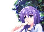  irie_(angel_beats!) leaf long_hair okome_(minagisama) popsicle purple_eyes purple_hair school_uniform tree violet_eyes 