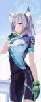  1girl animal_ear_fluff animal_ears bike_jersey bike_shorts biker_clothes bikesuit blue_archive blue_eyes blue_sky blurry bodysuit breasts clouds cloudy_sky commentary cross_hair_ornament depth_of_field extra_ears gloves green_gloves grey_hair guard_rail hair_between_eyes hair_ornament halo highres kainown long_sleeves medium_hair mismatched_pupils official_alternate_costume outdoors parted_lips shiroko_(blue_archive) shiroko_(cycling)_(blue_archive) sidelocks sky small_breasts solo standing sweat wolf_ears wolf_girl 