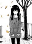  1girl autumn_leaves black_hair closed_mouth collarbone commentary hair_between_eyes highres hood hood_down hoodie izumi_(toubun_kata) leaf long_hair looking_at_viewer mieruko-chan monochrome official_art outdoors pants pavement solo spot_color symbol-only_commentary tree yellow_eyes yotsuya_miko 