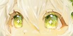  1girl absurdres bright_pupils close-up cross-shaped_pupils eye_focus genshin_impact green_eyes highres higuhii looking_at_viewer nahida_(genshin_impact) solo symbol-shaped_pupils white_hair white_pupils 