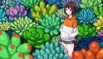  1girl black_shorts bob_cut brown_hair hands_in_pockets hashi hood hoodie original oversized_plant short_shorts shorts solo standing succulent_plant two-tone_hoodie violet_eyes 