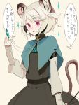  confession fakepucco grey_hair mouse_ears mouse_tail nazrin pov short_hair solo tail touhou translated 