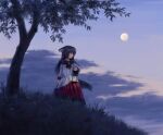  1girl animal_ears brooch brown_hair clouds dawn dress flower full_moon grass highres holding holding_lantern imaizumi_kagerou jewelry lantern long_hair moon red_eyes satellitedragon scenery sky solo tail touhou tree wolf_ears wolf_tail yellow_flower 