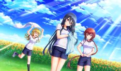  3girls :d ^_^ black_hair black_ribbon black_shorts black_socks blonde_hair braid braided_ponytail cinderella_series closed_eyes closed_mouth clouds drying drying_hair dutch_angle field flower flower_field game_cg gym_shirt gym_shorts hachigatsu_no_cinderella_nine hair_between_eyes hair_ornament hair_ribbon hairclip highres holding holding_towel iwaki_yoshimi kurashiki_maiko light_rays long_hair multiple_girls non-web_source official_art on_grass open_mouth outdoors red_eyes redhead ribbon shinonome_ryo shirt shoes short_sleeves shorts single_braid sky smile sneakers socks sunbeam sunflower sunflower_field sunlight teeth towel upper_teeth_only very_long_hair wet wet_clothes wet_hair wet_shirt wet_shorts white_shirt wringing_clothes 