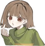  1other blush brown_eyes brown_hair chara_(undertale) green_sweater i3dpi long_sleeves looking_at_viewer middle_finger open_mouth other_focus short_hair simple_background sleeves_past_wrists solo sweater undertale upper_body white_background 