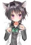  1girl 9-nine- absurdres animal_ear_fluff animal_ears black_hair black_shirt blush cat_ears chestnut_mouth commentary_request eyelashes frilled_sleeves frills hair_between_eyes hair_intakes hair_ornament hairclip hands_up highres juliet_sleeves long_sleeves looking_at_viewer open_mouth paw_pose puffy_sleeves school_uniform shirt short_hair_with_long_locks sidelocks solo spiky_hair straight-on takepoison two-tone_shirt upper_body violet_eyes white_shirt wide_sleeves wing_collar yuuki_noa 