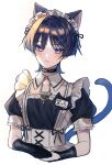  alternate_costume angel_mol animal_ears apron black_choker black_dress black_hair blush cat_boy cat_ears cat_tail choker closed_mouth cropped_torso crossdressing dress genshin_impact highres looking_at_viewer maid maid_headdress otoko_no_ko scaramouche_(genshin_impact) short_sleeves simple_background solo tail violet_eyes white_apron 