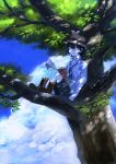  bad_id bird black_hair blue_eyes book boots cloud clouds hat highres in_tree kyouichi male original shade shorts sitting sitting_in_tree sky solo tree 