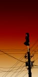  1girl akira_rirurero black_hair black_serafuku commentary_request enma_ai from_side jigoku_shoujo kneehighs long_hair on_top_of_pole power_lines red_eyes red_sky school_uniform serafuku skirt sky socks solo standing_on_object sunset transformer utility_pole 