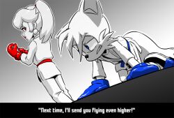  defeat dougi fox karate karate_gi martial_arts on_ground princess_peach tails_(sonic) 