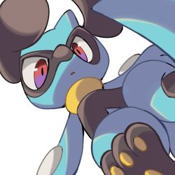 1other animal_hands black_fur blue_fur full_body furry highres looking_at_viewer nose_poke000 open_mouth pawpads pokemon pokemon_(creature) red_eyes riolu simple_background snout solo standing two-tone_fur white_background 